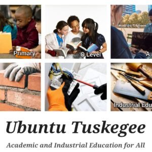 Primary and High School Education